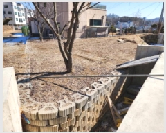  2025Ÿ��647  �����