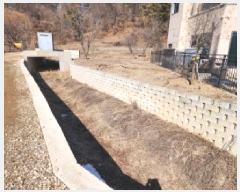  2025Ÿ��647  �����