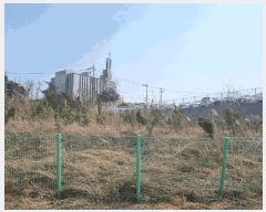  2025Ÿ��1006 ��� ȭ���� �ۻ�� ������ 631      ����(��)���