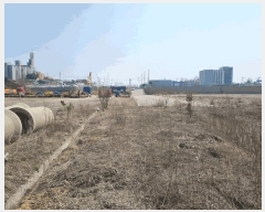  2025Ÿ��1006 ��� ȭ���� �ۻ�� ������ 631      ����(��)���