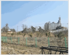  2025Ÿ��1006 ��� ȭ���� �ۻ�� ������ 631      ����(��)���