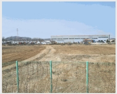  2025Ÿ��1006 ��� ȭ���� �ۻ�� ������ 631      ����(��)���