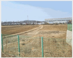  2025Ÿ��1006 ��� ȭ���� �ۻ�� ������ 631      ����(��)���