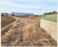  2025Ÿ��1006 ��� ȭ���� �ۻ�� ������ 631      ����(��)���