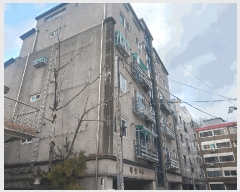  2025Ÿ��54541 ��� ���ν� ���ﱸ ������ 281-4 ���ֺ����� �ٵ� 5��501ȣ   �ټ���,������