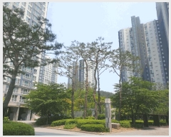  2025Ÿ��56005 ��� ȭ���� û�赿 558 ��ź���ĭŸ���������� 1223�� 1��103ȣ    ����Ʈ���