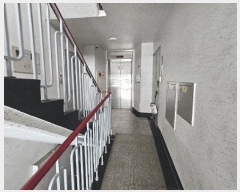  2025Ÿ983  ȭ  520  Ÿ 103 612ȣ   Ʈ