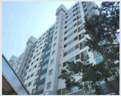  2025Ÿ983  ȭ  520  Ÿ 103 612ȣ   Ʈ