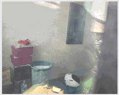  2025Ÿ��1111 ��� ���ν� ó�α� ������ �ϻ긮 408-7     ���ð��