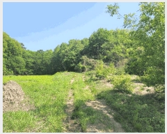  2025Ÿ��1111 ��� ���ν� ó�α� ������ �ϻ긮 408-7     ���ð��