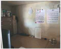  2025Ÿ��1111 ��� ���ν� ó�α� ������ �ϻ긮 408-7     ���ð��