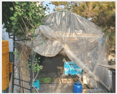  2025Ÿ��1162 ��� ����� ������ 519-1       �ٸ��ü�,�󰡰��