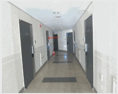  2025Ÿ53900  ȭ ۷ 175, 232317ȣ (ݼ۵,ƮƼǽ)     ǽڰ