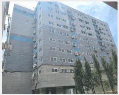  2025Ÿ��55431  ���ǽ��ڰ��