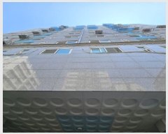  2025Ÿ��55431  ���ǽ��ڰ��