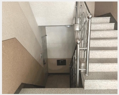  2025Ÿ��56253  �ټ���(����)���