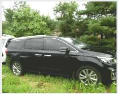  2025Ÿ��56447  �������