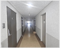  2025Ÿ��56580  ���ǽ��ڰ��