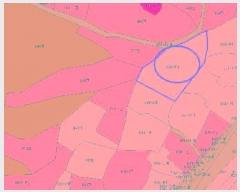  2025Ÿ��50901  �������