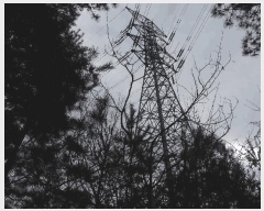  2025Ÿ��913  �Ӿ߰��