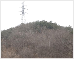  2025Ÿ��913  �Ӿ߰��