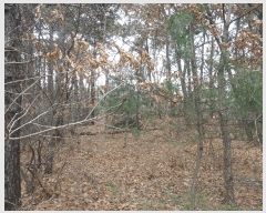  2025Ÿ��913  �Ӿ߰��