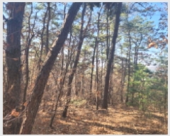  2025Ÿ��913  �Ӿ߰��