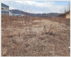  2025Ÿ��50567 ��� ȭ���� ��ź�� ���帮 949-41      ����(�Ӿ�)���