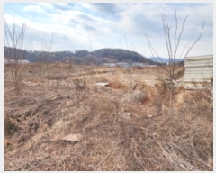  2025Ÿ��50567 ��� ȭ���� ��ź�� ���帮 949-41      ����(�Ӿ�)���