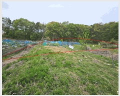  2025Ÿ��55206 ��� ���ν� ������ �ź��� 202-1      ����(�Ӿ�)���