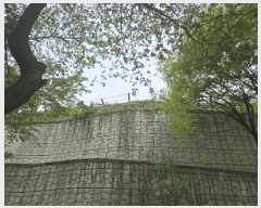  2025Ÿ��55206 ��� ���ν� ������ �ź��� 202-1      ����(�Ӿ�)���