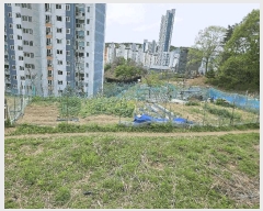  2025Ÿ��55206 ��� ���ν� ������ �ź��� 202-1      ����(�Ӿ�)���