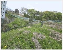  2025Ÿ��55206 ��� ���ν� ������ �ź��� 202-1      ����(�Ӿ�)���