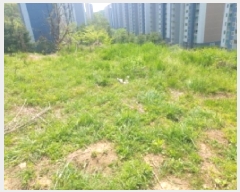  2025Ÿ��55206 ��� ���ν� ������ �ź��� 202-1      ����(�Ӿ�)���