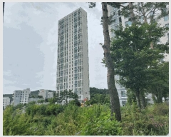  2025Ÿ��56827 ��� ���ν� ó�α� ������ �ư 681 �����Ѽ�������ѽ���Ƽ5���� 511�� 26��2603ȣ  ����Ʈ���