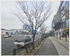  2025Ÿ��50994  �ٸ��󰡰��