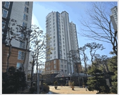  2025Ÿ��54420  ����Ʈ���