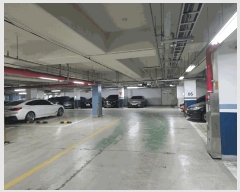  2025Ÿ��54420  ����Ʈ���