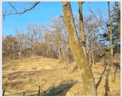  2025Ÿ��54673  �Ӿ߰��