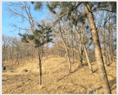  2025Ÿ��54673  �Ӿ߰��