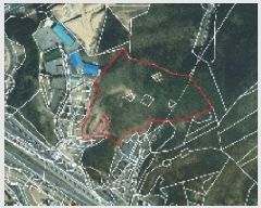  2025Ÿ��54673  �Ӿ߰��