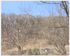  2025Ÿ��54673  �Ӿ߰��