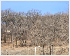  2025Ÿ��54673  �Ӿ߰��