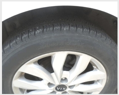  2025Ÿ��55083  �������