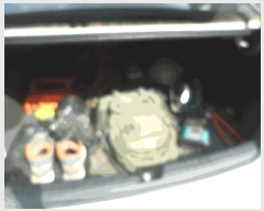  2025Ÿ��55083  �������