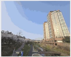  2025Ÿ��55302 ��� ���ν� ���ﱸ ������ 1179 �����ż��车�� 8����-803ȣ    ���ǽ��ڰ��