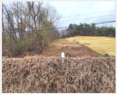  2025Ÿ��55397 ��� ȭ���� �ż۸� �߸� ��9-6      ����(�Ӿ�)���