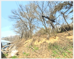  2025Ÿ��55397 ��� ȭ���� �ż۸� �߸� ��9-1      ����(�Ӿ�)���