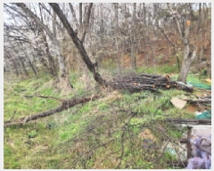  2025Ÿ��55397 ��� ȭ���� �ż۸� �߸� ��9-1      ����(�Ӿ�)���