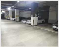  2025Ÿ��55566  ���ǽ��ڰ��
